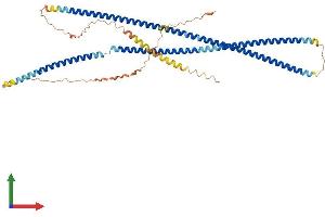 AlphaFold protein structure predicition of Mouse Recombinant Ina Protein, UniprotID P46660