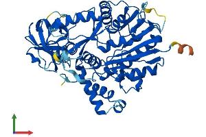 AlphaFold protein structure predicition of Mouse Recombinant Nsun6 Protein, UniprotID Q7TS68