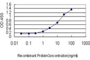 Detection limit for recombinant GST tagged LEF1 is approximately 0.