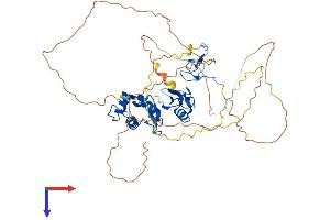 AlphaFold protein structure predicition of Mouse Recombinant Mdm2 Protein, UniprotID P23804