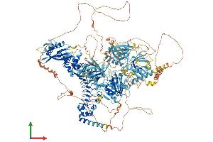 AlphaFold protein structure predicition of Mouse Recombinant Nisch Protein, UniprotID Q80TM9