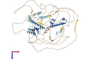 AlphaFold protein structure predicition of Human Recombinant TAF4 Protein, UniprotID O00268