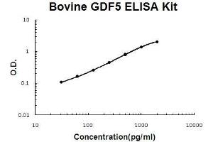 Bovine GDF5 PicoKine ELISA Kit standard curve (GDF5 Kit ELISA)