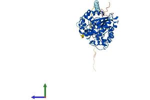 AlphaFold protein structure predicition of Human Recombinant CHST5 Protein, UniprotID Q9GZS9