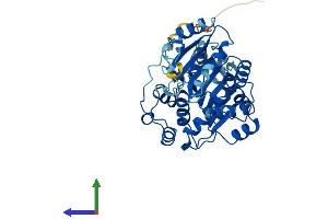 AlphaFold protein structure predicition of Mouse Recombinant Eif4a3 Protein, UniprotID Q91VC3