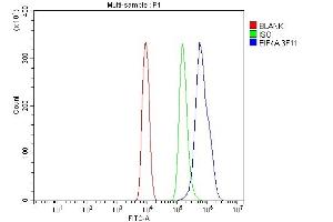 Flow Cytometry analysis of ANA-1 cells using anti-EIF4A1 antibody (ABIN7603144). (EIF4A1 anticorps  (N-Term))