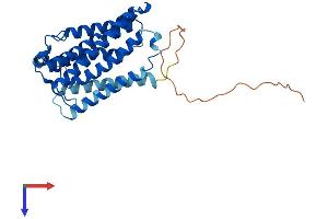 AlphaFold protein structure predicition of Human Recombinant ELOVL4 Protein, UniprotID Q9GZR5