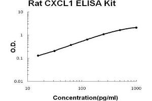 Rat CXCL1 PicoKine ELISA Kit standard curve