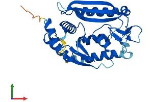 AlphaFold protein structure predicition of Human Recombinant C1orf74 Protein, UniprotID Q96LT6