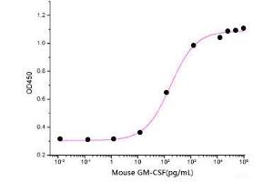 ELISA image for Colony Stimulating Factor 2 (Granulocyte-Macrophage) (CSF2) (Active) protein (His tag) (ABIN7320538)