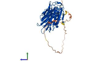 AlphaFold protein structure predicition of Human Recombinant LGALS9 Protein, UniprotID O00182