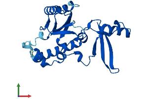 AlphaFold protein structure predicition of Mouse Recombinant Polr2e Protein, UniprotID Q80UW8