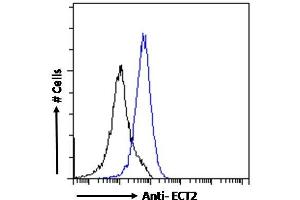 (ABIN185018) Flow cytometric analysis of paraformaldehyde fixed A431 cells (blue line), permeabilized with 0. (ECT2 anticorps  (N-Term))