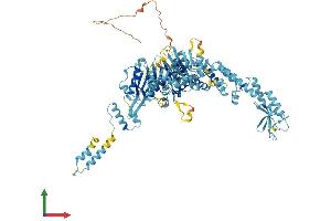 AlphaFold protein structure predicition of Mouse Recombinant Msh5 Protein, UniprotID Q9QUM7