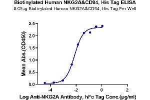 Immobilized Biotinylated Human NKG2A&CD94, His Tag at 0.