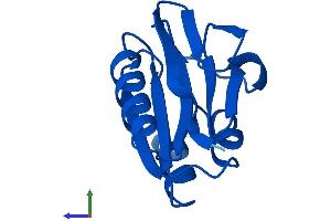 AlphaFold protein structure predicition of Mouse Recombinant Aamdc Protein, UniprotID Q8R0P4