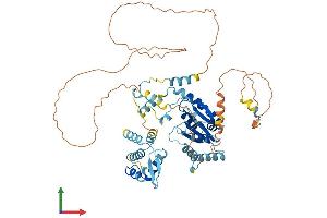 AlphaFold protein structure predicition of Human Recombinant ORC2 Protein, UniprotID Q13416