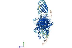 AlphaFold protein structure predicition of Human Recombinant HSD17B4 Protein, UniprotID P51659