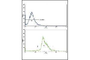 Flow cytometric analysis of widr cells using X4 Antibody (Center)(bottom histogram) comred to a negative control cell (top histogram)FITC-conjugated goat-anti-rabbit secondary antibodies were used for the analysis. (PAX4 anticorps  (AA 171-200))