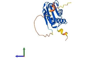 AlphaFold protein structure predicition of Human Recombinant BTG1 Protein, UniprotID P62324