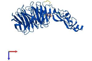 AlphaFold protein structure predicition of Human Recombinant WDFY2 Protein, UniprotID Q96P53