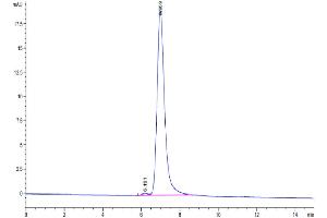 The purity of Mouse ITGAV&ITGB3 is greater than 95 % as determined by SEC-HPLC.