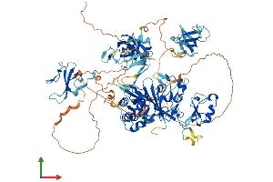 AlphaFold protein structure predicition of Human Recombinant CYLD Protein, UniprotID Q9NQC7