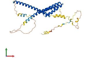 AlphaFold protein structure predicition of Human Recombinant NRBF2 Protein, UniprotID Q96F24