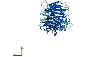 AlphaFold protein structure predicition of Human Recombinant FBXW2 Protein, UniprotID Q9UKT8