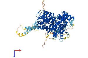AlphaFold protein structure predicition of Mouse Recombinant Scfd1 Protein, UniprotID Q8BRF7