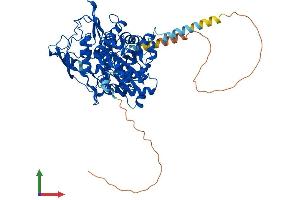 AlphaFold protein structure predicition of Mouse Recombinant Actr8 Protein, UniprotID Q8R2S9