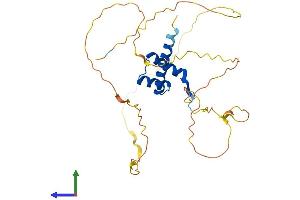 AlphaFold protein structure predicition of Mouse Recombinant Hoxb13 Protein, UniprotID P70321