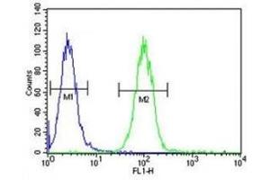 Annexin A1 antibody flow cytometric analysis of A2058 cells (green) compared to a negative control (blue).