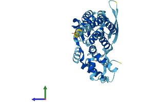 AlphaFold protein structure predicition of Human Recombinant RFC3 Protein, UniprotID P40938
