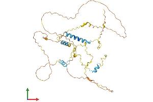AlphaFold protein structure predicition of Human Recombinant S100PBP Protein, UniprotID Q96BU1