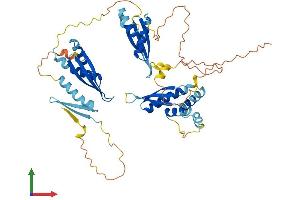 AlphaFold protein structure predicition of Mouse Recombinant Stau1 Protein, UniprotID Q9Z108