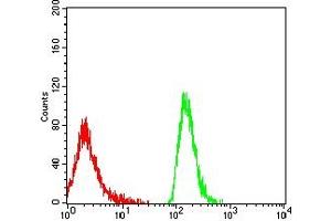 Flow cytometric analysis of MOLT4 cells using LILRA1 mouse mAb (green) and negative control (red).