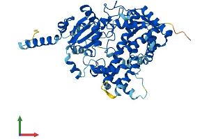 AlphaFold protein structure predicition of Human Recombinant CYP3A43 Protein, UniprotID Q9HB55