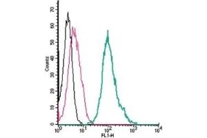 Cell surface detection of TRPA1 by direct flow cytometry in live intact mouse J774 macrophage cells: (black line) Cells.