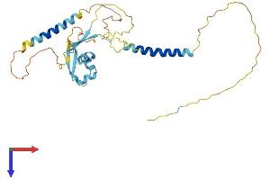 AlphaFold protein structure predicition of Mouse Recombinant Lysmd4 Protein, UniprotID Q8CC84