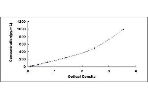 Typical standard curve (LAIR2 Kit ELISA)
