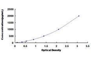 Peroxiredoxin 5 (PRDX5) ELISA Kit