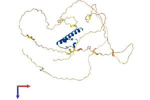 AlphaFold protein structure predicition of Mouse Recombinant Dmrt1 Protein, UniprotID Q9QZ59