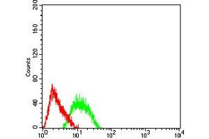 Flow cytometric analysis of SK-N-SH cells using TFAP2B mouse mAb (green) and negative control (red).