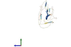 AlphaFold protein structure predicition of Mouse Recombinant Amotl2 Protein, UniprotID Q8K371