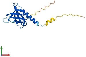 AlphaFold protein structure predicition of Mouse Recombinant Phlda2 Protein, UniprotID O08969
