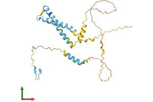 AlphaFold protein structure predicition of Mouse Recombinant Ociad1 Protein, UniprotID Q9CRD0