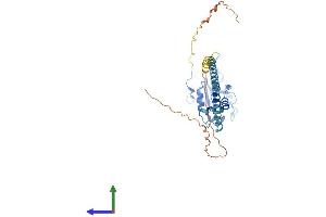 AlphaFold protein structure predicition of Mouse Recombinant Pcyt1b Protein, UniprotID Q811Q9