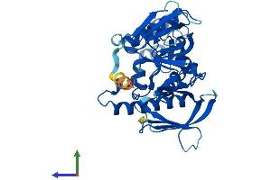 AlphaFold protein structure predicition of Human Recombinant ADAP2 Protein, UniprotID Q9NPF8