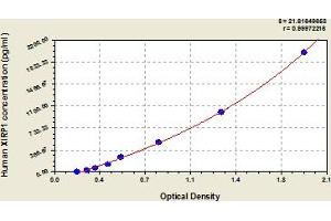 Typical Standard Curve (XIRP1 Kit ELISA)